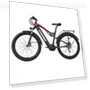 Thumbnail Electric Bike — Electric Self-Balancing Scooters, RANDRIDE