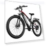 Thumbnail Electric Bike — Electric Self-Balancing Scooters, RANDRIDE