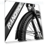 Thumbnail Electric Bike — Electric Self-Balancing Scooters, RANDRIDE