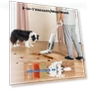 Thumbnail Cordless Wet Dry Vacuum — Smart Cleaning Robots, Proscenic