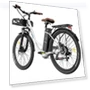 Превью Lasting Electric Bike — E-Bikes, Fafrees