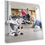 Thumbnail Interactive Dinosaur Robot — Interactive Figures & Robots, Dollox