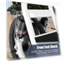 Превью Peak 1200W Electric Scooter with Seat for Adults — Electric Vehicles, Caroma