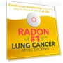 Thumbnail Smart Radon Detector with Humidity & Temperature Sensor — Home Climate Control, Airthings