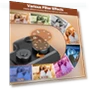 Thumbnail 4K Digital Camera for Photography — Video Cameras, CAMWORLD