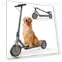 Превью Folding Electric Scooter — Electric Vehicles, sigravy