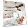 Thumbnail Smart Ceiling Fan with Light — Ceiling Fan Wall Controls, BOOSANT