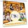 Thumbnail 5K Digital Camera with 16X Zoom — Compact Digital Cameras, YiFuar