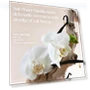 Превью Multi-Lipid Body Butter — Body Washes, Saltair