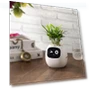 Превью Smart Pet Planter Robot — Plants & Greenery, PLANTSIO