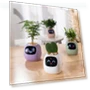 Превью Smart Pet Planter Robot — Plants & Greenery, PLANTSIO