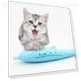 Thumbnail Catnip Cat Teeth Cleaning Silicone Dolphin Toy — Dental Care