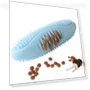 Превью Chewing Molar Stick Pet Toy — Chew Toys