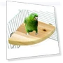 Thumbnail Fan-Shaped Platform Station Board Hamster Springboard Rest Platform — Exercise Wheels, Parrot Log