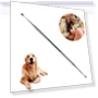 Thumbnail Pet Teeth Cleaning Tool — Toothbrushes