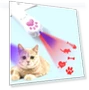 Превью Rechargeable Projector Cat Toy Laser — Cat Playthings