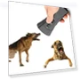 Превью Ultrasonic Anti Dog Barking Pet Trainer — Sonic Deterrents