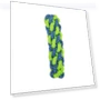 Thumbnail Cotton Rope Sets for Dogs — Chew Toys