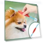 Превью Dual Head Toothbrush for Pets — Dental Care