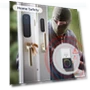 Thumbnail Door Entry Alarm — Chimes, BITIWEND