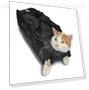 Превью Pet Bath Kit — Bath Accessories