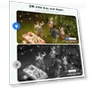 Превью Wireless Outdoor Security Camera — Smart Home Security, ZEEPORTE SECURITY