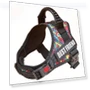 Thumbnail Dog Chest Strap with Night Reverse Light — Collars