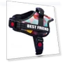 Thumbnail Dog Chest Strap with Night Reverse Light — Collars