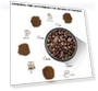 Превью Electric Coffee and Spice Grinder — Spice Grinders, LINKchef