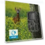 Thumbnail Hunting Camera Trail Wildlife Cameras Outdoor Night Vision Photo Trap — Outdoor & Wildlife Cameras, Suntekcam