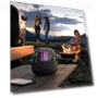 Thumbnail Wireless Bluetooth Speaker with RGB Lights — Portable Audio Solutions, Allway