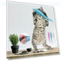 Thumbnail Catnip Cat Teeth Cleaning Silicone Dolphin Toy — Dental Care