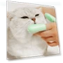Thumbnail Double Finger Toothbrushes for Pet Teeth Cleaning — Toothbrushes