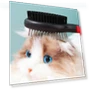 Thumbnail Double-sided comb with protective points — Combs