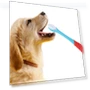Превью Dual Head Toothbrush for Pets — Dental Care