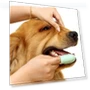 Превью Finger Toothbrush for Pets — Dental Care