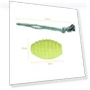 Превью Knot Pet Bite Resistant Teeth Cleaning Toy — Chew Toys