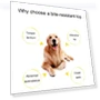 Превью Knot Pet Bite Resistant Teeth Cleaning Toy — Chew Toys