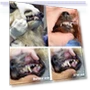 Thumbnail Pet Teeth Cleaning Tool — Toothbrushes