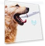 Превью Ultrasonic Cleaning Machine for Pet Dogs — Ultrasonic Cleaners