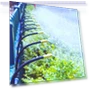 Thumbnail Universal Nozzle Automatic Watering Device — Automatic Irrigation