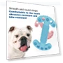 Thumbnail Chewing Teeth Cleaning Toy — Bones