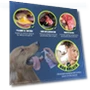 Thumbnail Teeth Cleaning Spray — Dental Care