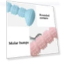 Превью Teething Toy Chewing Dog Toothbrush Toy — Chew Toys