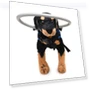 Превью Anti-Collision Ring for Dogs — Sunglasses