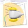 Thumbnail Automatic Light Crazy Mouse Pet Toy — Cat Playthings