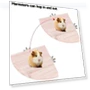 Thumbnail Fan-Shaped Platform Station Board Hamster Springboard Rest Platform — Exercise Wheels, Parrot Log