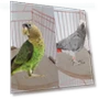 Thumbnail Fan-Shaped Platform Station Board Hamster Springboard Rest Platform — Exercise Wheels, Parrot Log