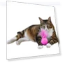 Превью Feathers Tease Cats Toys Plush Pet Cat Toys — Cat Playthings