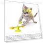 Превью Funny Cat Toy — Cat Playthings